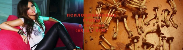 амф Няндома