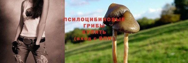 винт Осташков