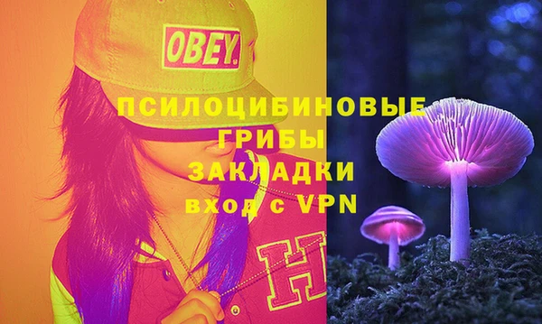 меф Нягань