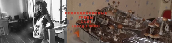 винт Осташков