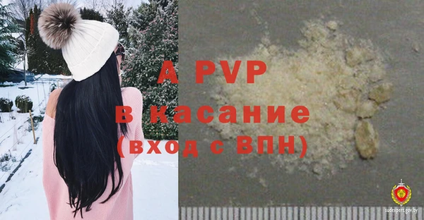винт Осташков