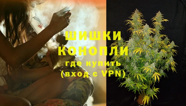 ГАЛЛЮЦИНОГЕННЫЕ ГРИБЫ Остров