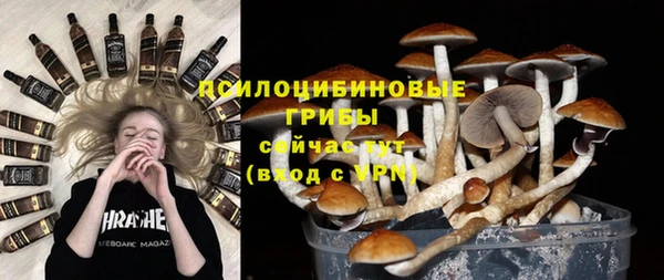 винт Осташков
