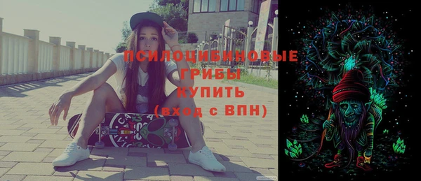 амф Няндома