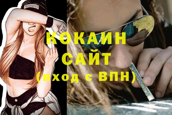 ГАЛЛЮЦИНОГЕННЫЕ ГРИБЫ Остров