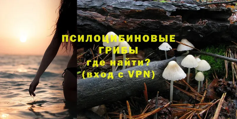 Галлюциногенные грибы Magic Shrooms  Островной 