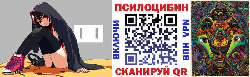 блэк спрут ссылка Островной Псилоцибиновые грибы Psilocybine cubensis